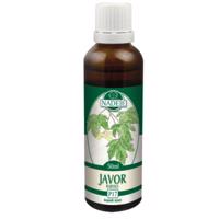 Naděje - Podhorná Javor tinktura z pupenů 50 ml